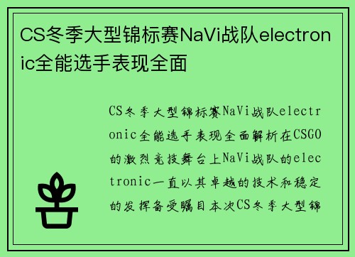 CS冬季大型锦标赛NaVi战队electronic全能选手表现全面