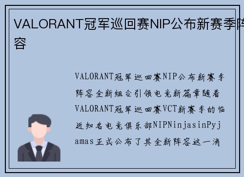 VALORANT冠军巡回赛NIP公布新赛季阵容