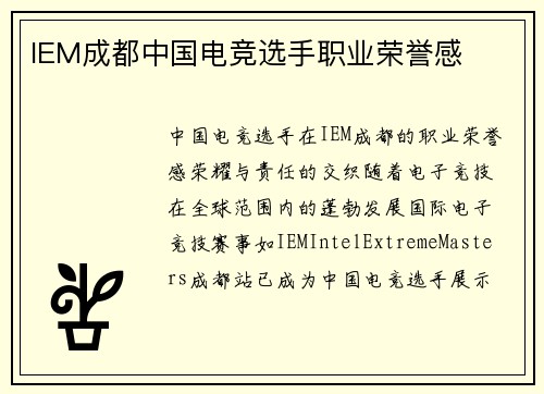 IEM成都中国电竞选手职业荣誉感