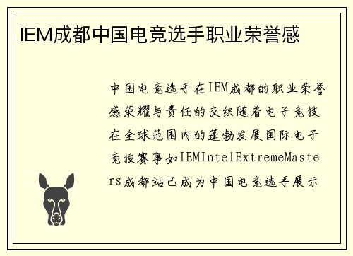 IEM成都中国电竞选手职业荣誉感